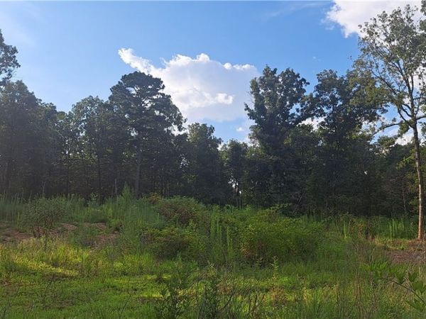 5B TBD Spring Creek Lane, Cecil, AR 72930
