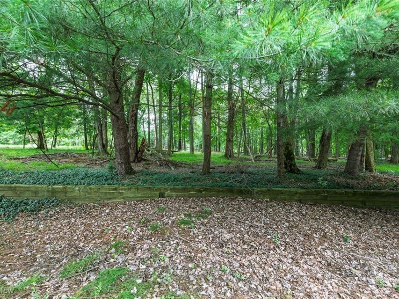 13156 Olympus Way, Strongsville, OH 44149 Photo 24