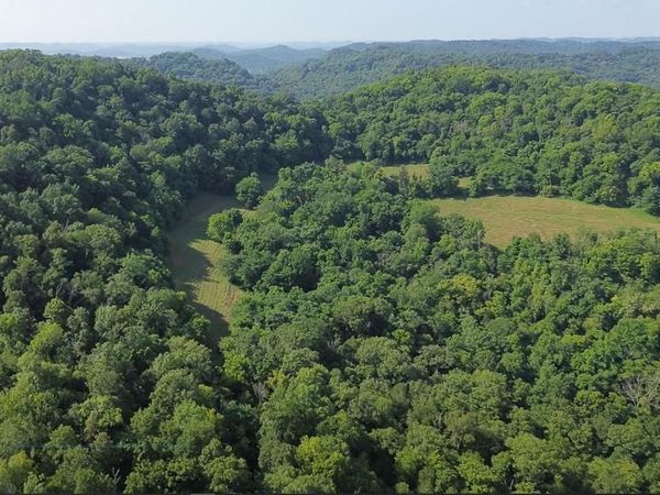 0 Hackett Hollow Ln Lot 3, Pleasant Shade, TN 37145