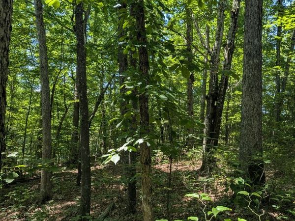 lot 22 Street Place Loop, Monterey, TN 38574