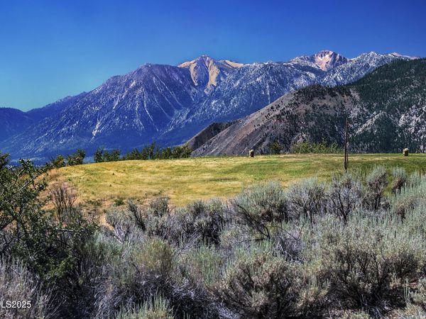 343 James Canyon Loop, Genoa, NV 89411