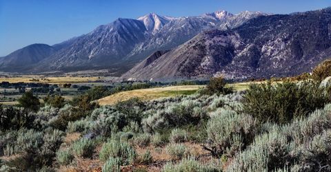 343 James Canyon Loop, Genoa, NV 89411 Photo