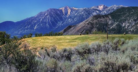 343 James Canyon Loop, Genoa, NV 89411 Photo