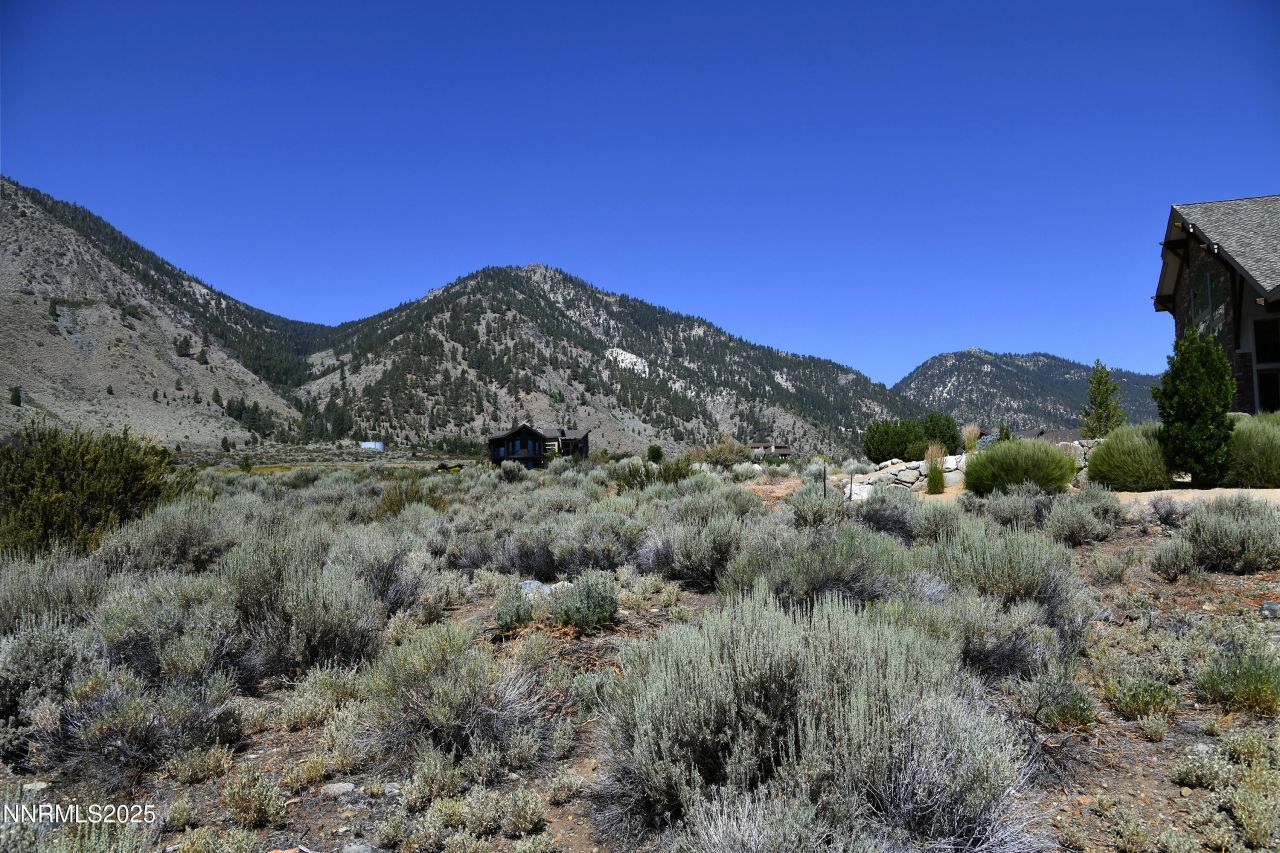 343 James Canyon Loop, Genoa, NV 89411 Photo