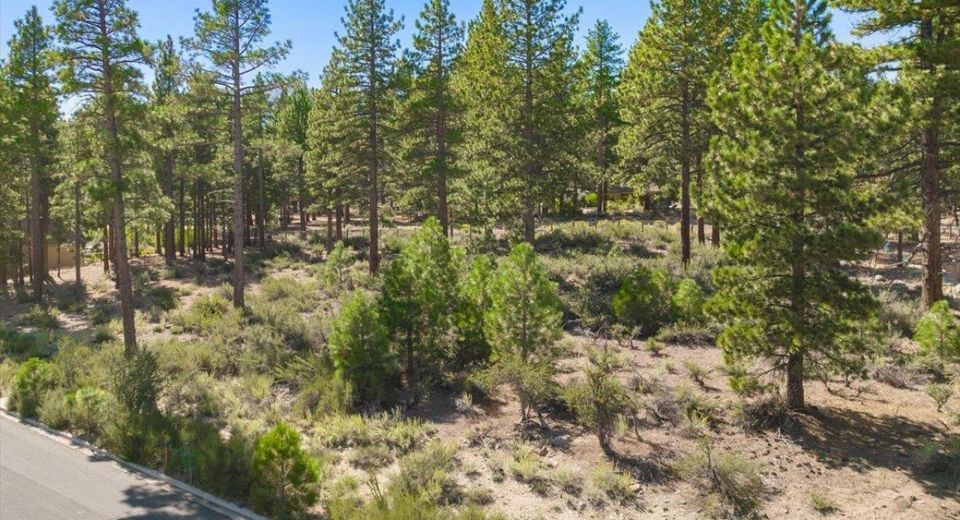 20585 Margaux Road, Reno, NV 89511 Photo