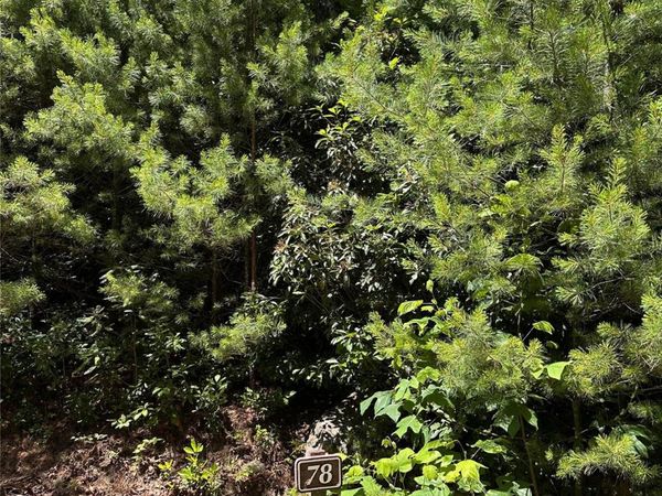 66 Boone Cove Road, Zirconia, NC 28790