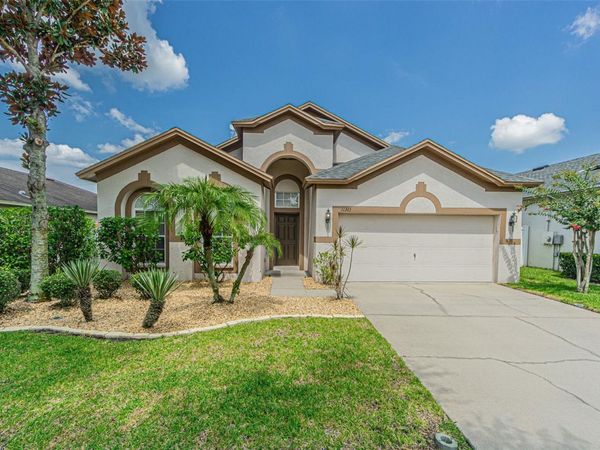 11345 FLORA SPRINGS DRIVE, RIVERVIEW, FL 33579