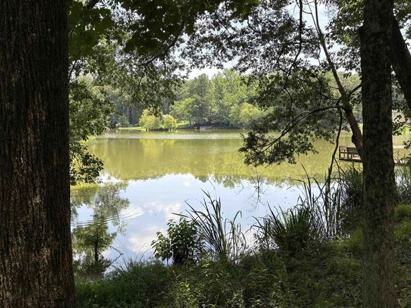 11090 CEDAR DR, Eads, TN 38028