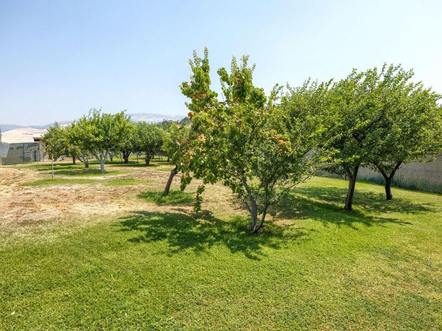 Property Image 116