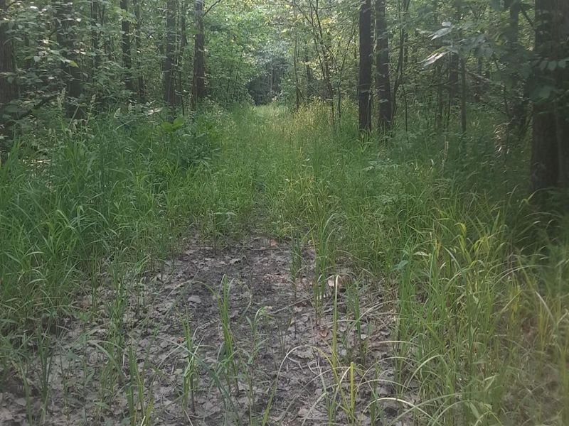 2897 Township Hwy 247, De Graff, OH 43318 Photo 11