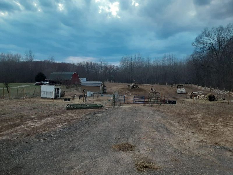 2897 Township Hwy 247, De Graff, OH 43318 Photo 12