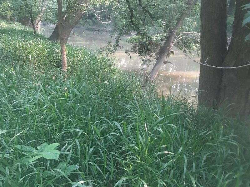 2897 Township Hwy 247, De Graff, OH 43318 Photo 13