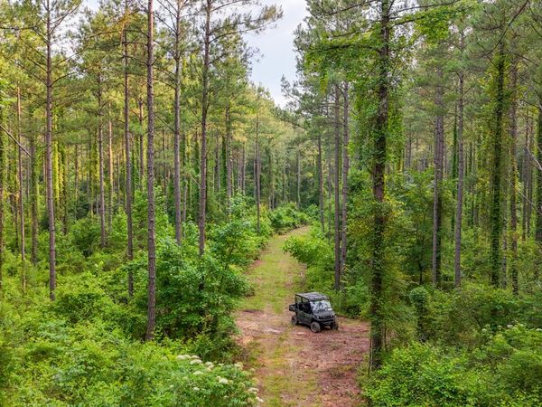 3644-3792 Fortune Hole Road, Hamilton, GA 31811