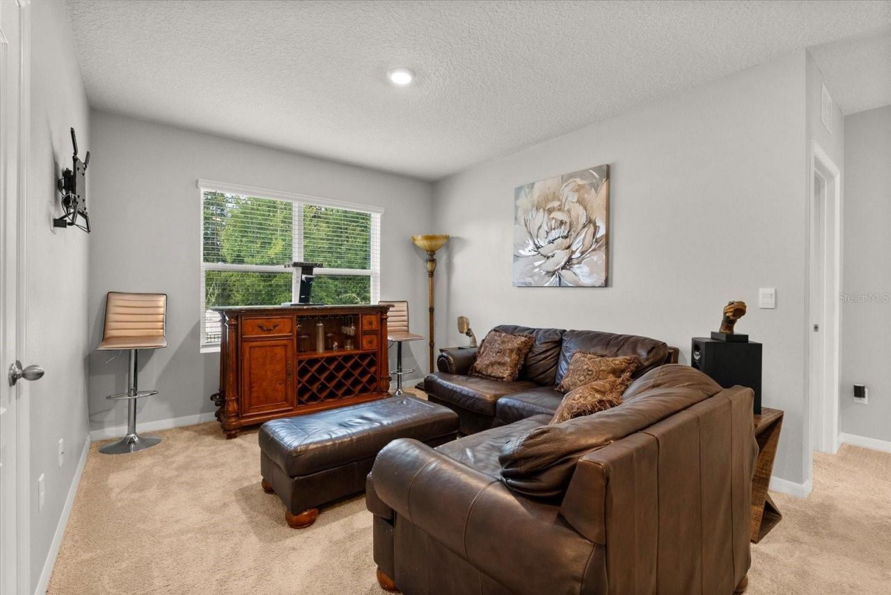 11237 Amber Ridge Drive, Zellwood, FL 32798 Photo