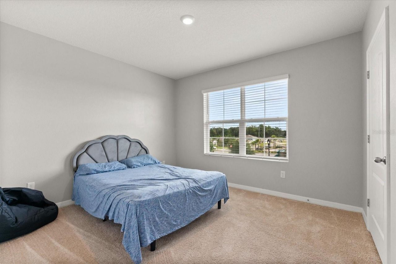 11237 Amber Ridge Drive, Zellwood, FL 32798 Photo