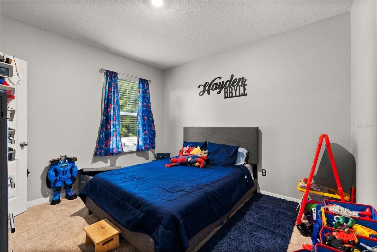 11237 Amber Ridge Drive, Zellwood, FL 32798 Photo