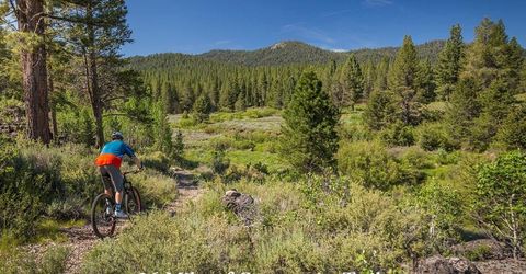 9501 Cloudcroft Court, Truckee, CA 96161 Photo