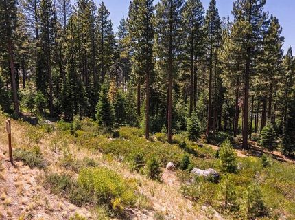 9501 Cloudcroft Court, Truckee, CA 96161 Photo