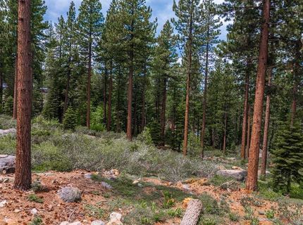 9501 Cloudcroft Court, Truckee, CA 96161 Photo