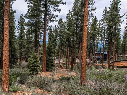 9501 Cloudcroft Court, Truckee, CA 96161 Photo