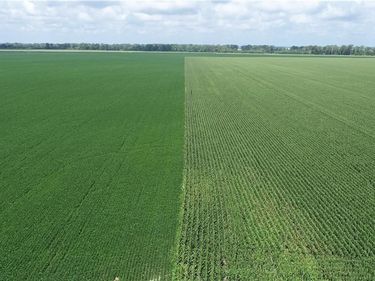 Tract 1 N Of Cranberry Bend Road, Waverly, MO 64096