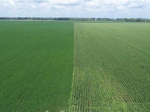 Tract 1 N Of Cranberry Bend Road, Waverly, MO 64096