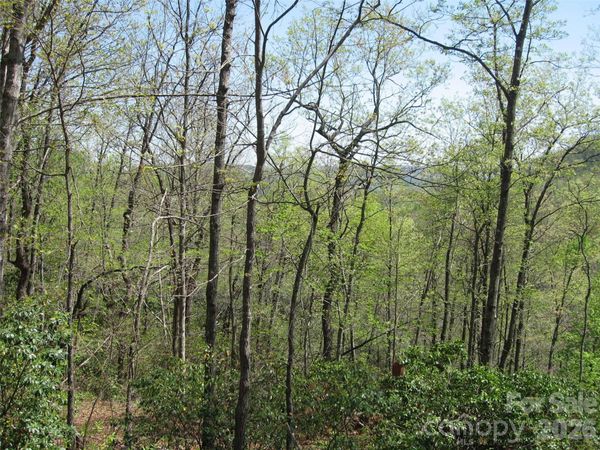 313 Line Runner Ridge Road, Rosman, NC 28772