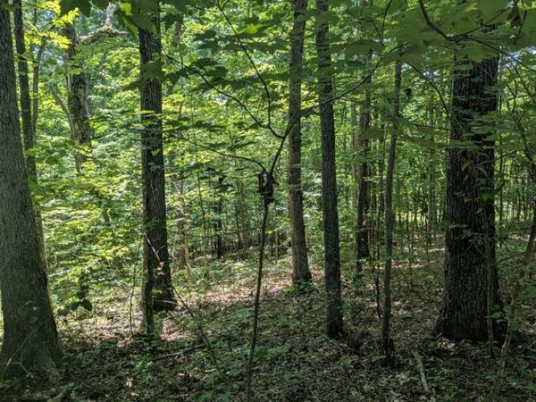 lot 23 Street Place Loop, Monterey, TN 38574