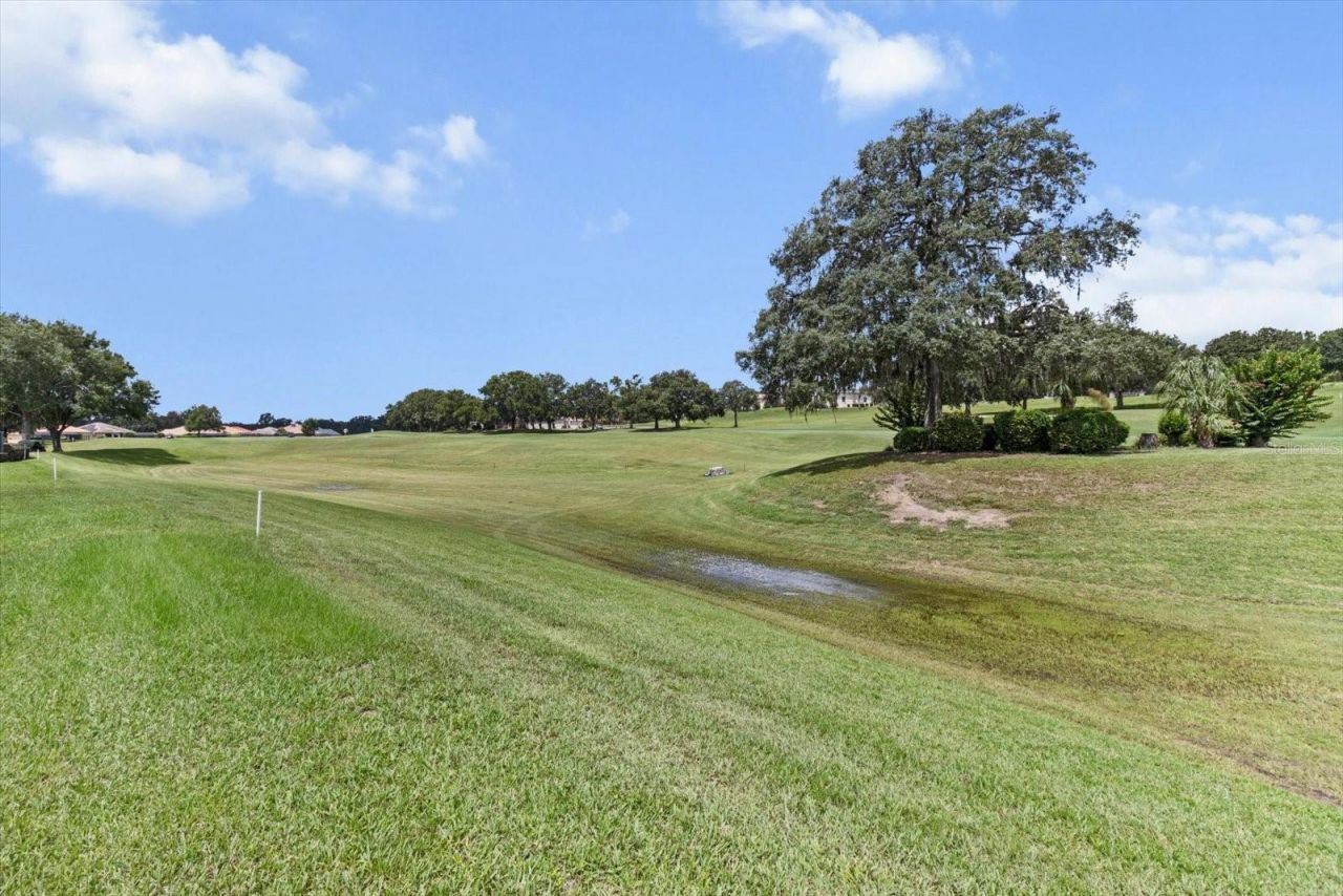 251 W Mickey Mantle Path, Hernando, FL 34442 Photo