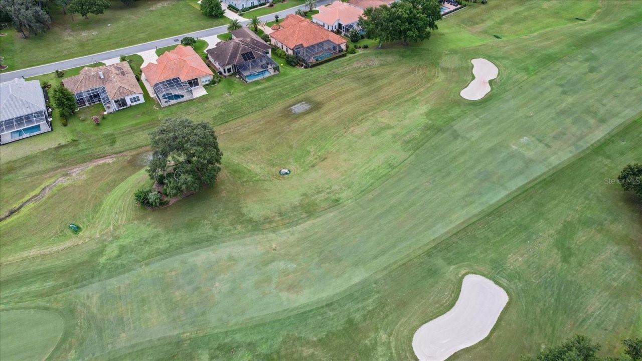 251 W Mickey Mantle Path, Hernando, FL 34442 Photo