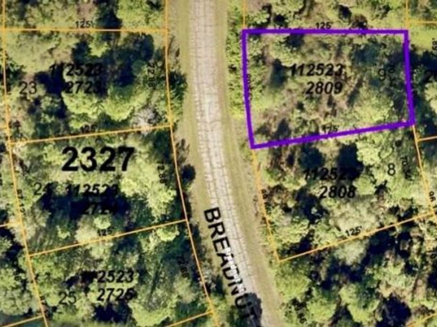 Property Image 1