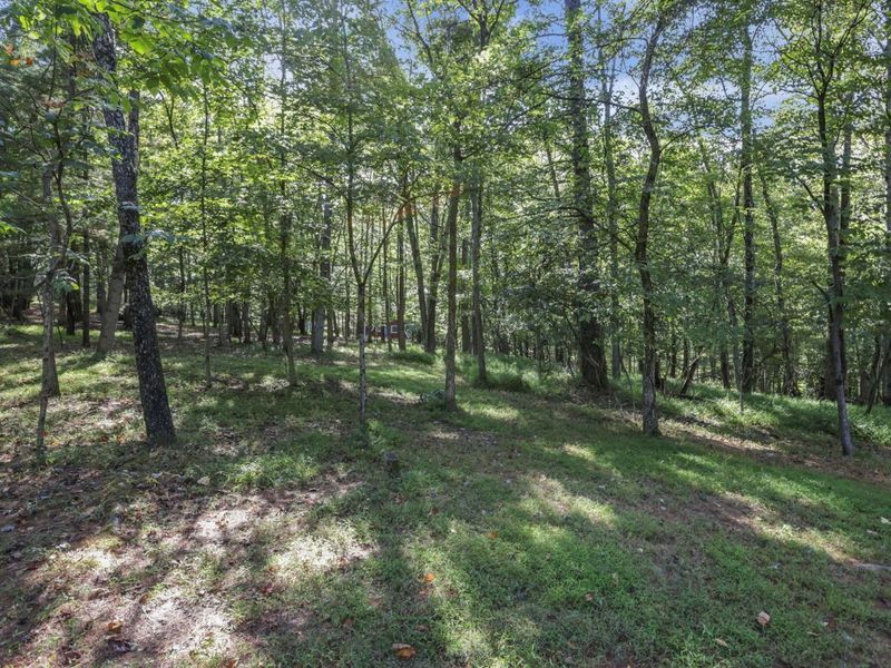 Reserve A Osage Lane, Hideaway Hills, OH 43107 Photo 70