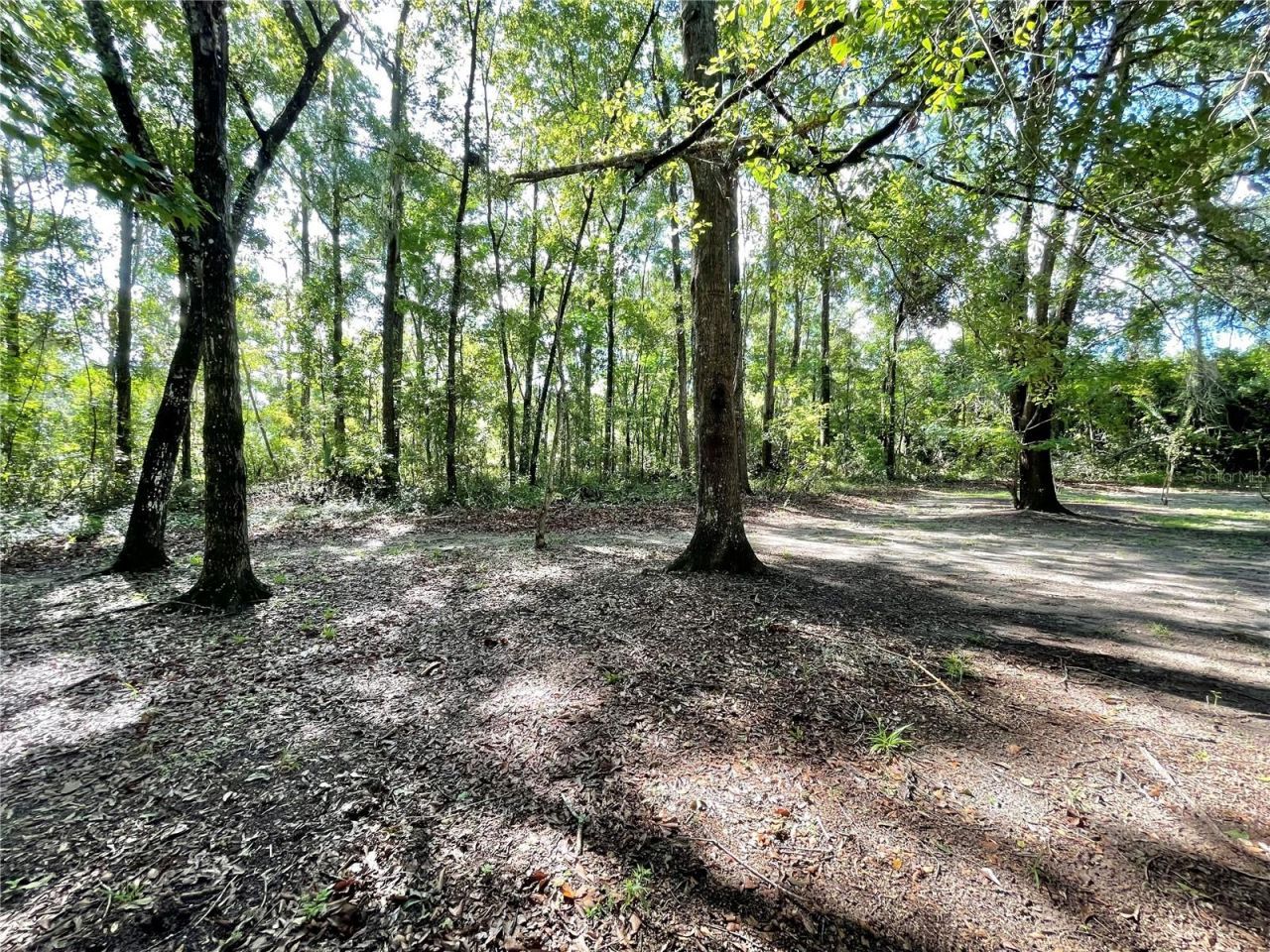 1501 NW 98th Street, Gainesville, FL 32606 Photo