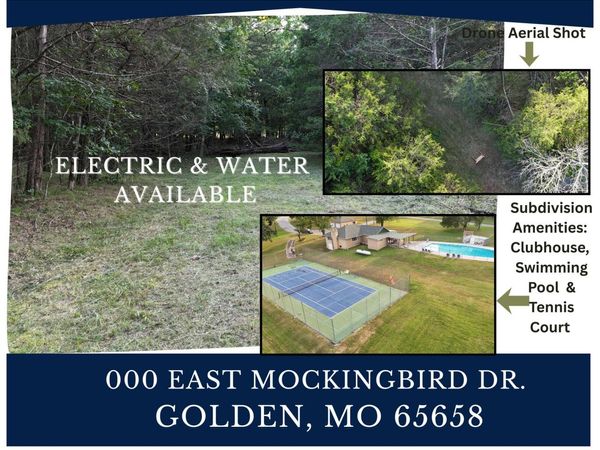 000 East Mockingbird Drive, Golden, MO 65658