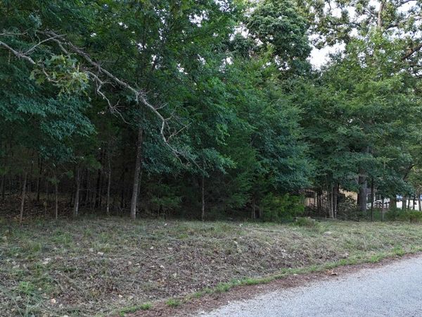 227 & 228 East Mockingbird Drive, Golden, MO 65658