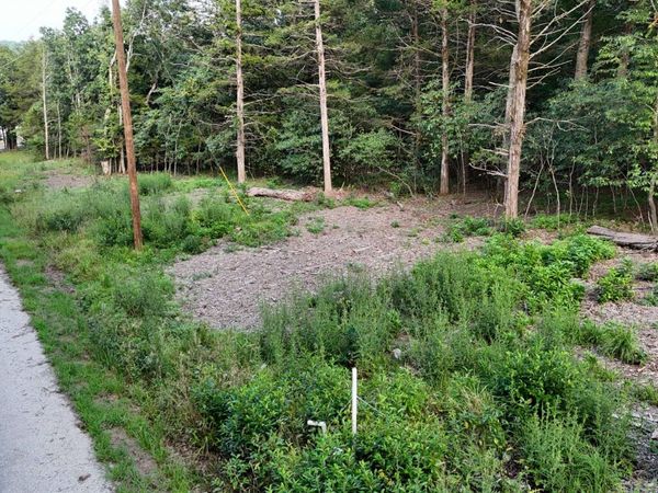 217&218 A Drive, Golden, MO 65658