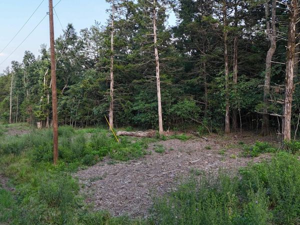 217&218 A Drive, Golden, MO 65658