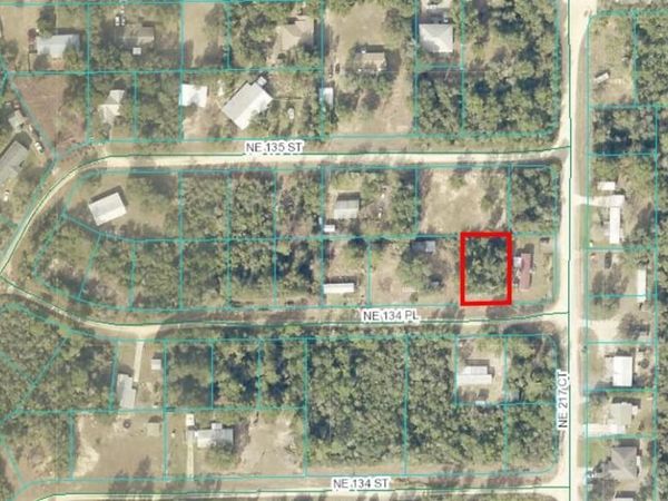 NE 134 PL, SALT SPRINGS, FL 32134