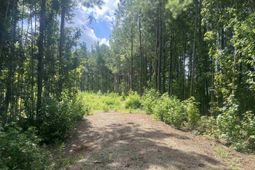 Tbd Lot 6b Red Bluff Rd. photo 4