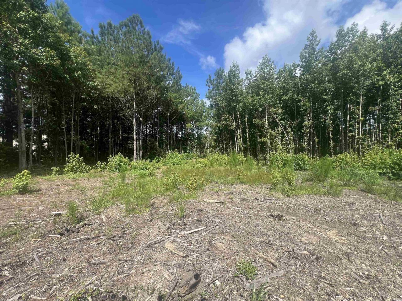 Tbd Lot 6b Red Bluff Rd. Photo 5