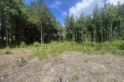 Tbd Lot 6b Red Bluff Rd. photo 4