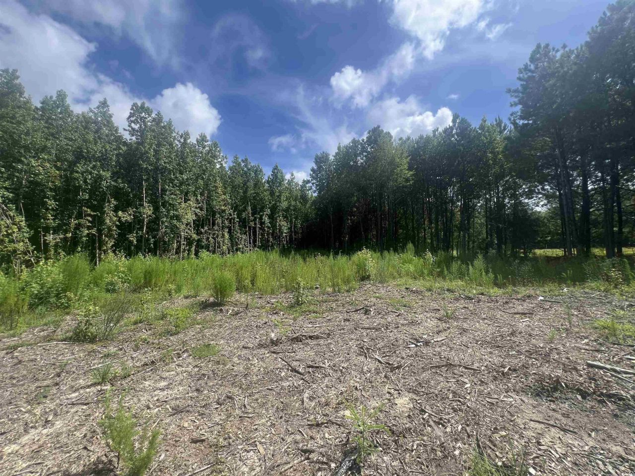 Tbd Lot 6b Red Bluff Rd. Photo 6