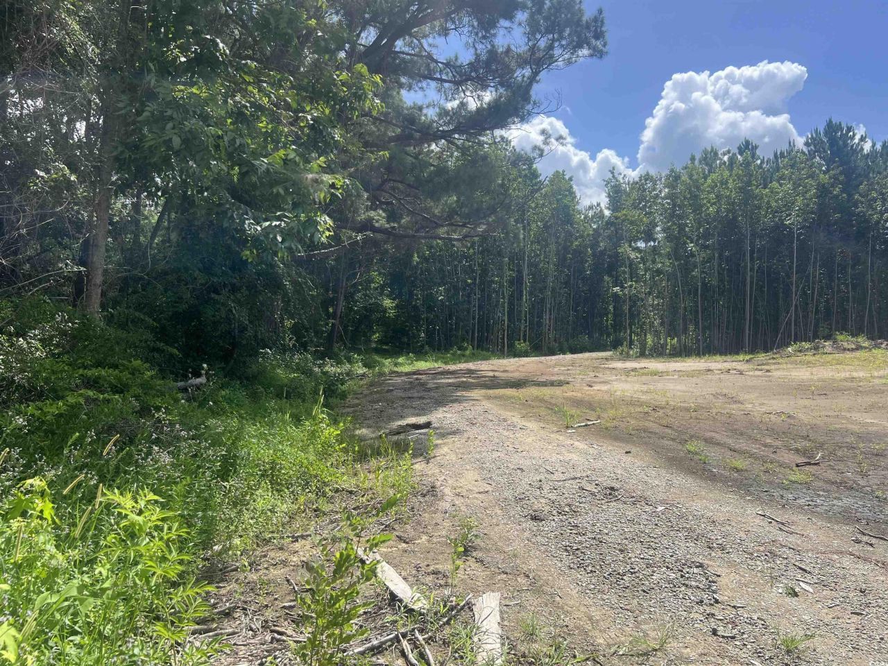 Tbd Lot 6b Red Bluff Rd. Photo 7