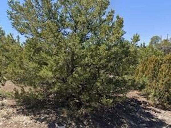 - W Snowline Drive, Unit -, Eagar, AZ 85925