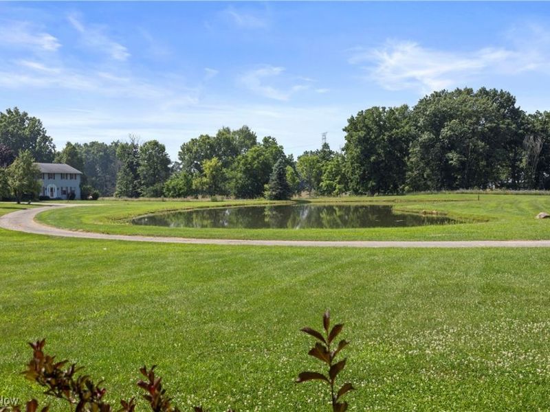 40163 Banks Road, Grafton, OH 44044 Photo 10