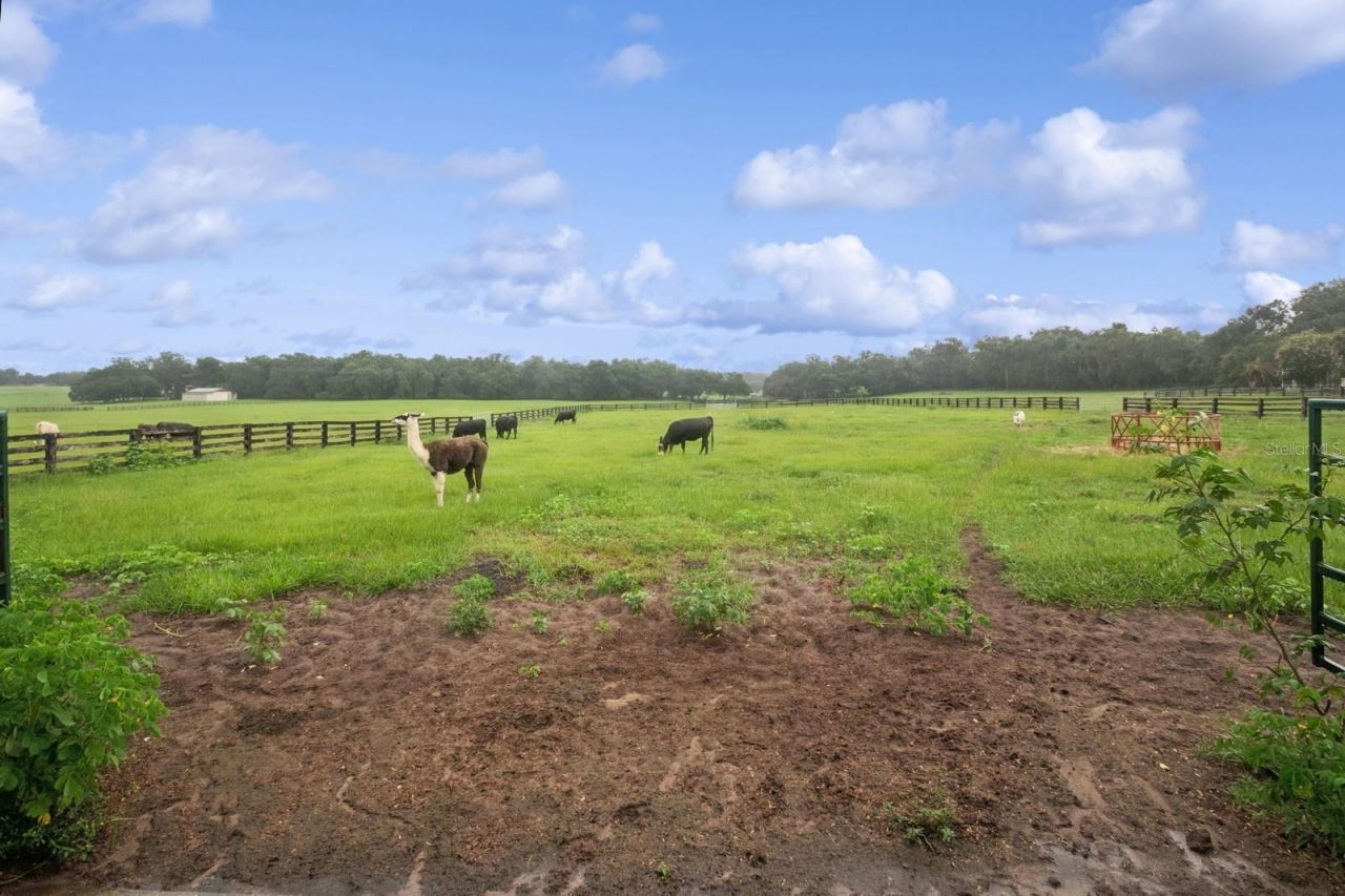 35520 Timbertop Lane, Fruitland Park, FL 34731 Photo