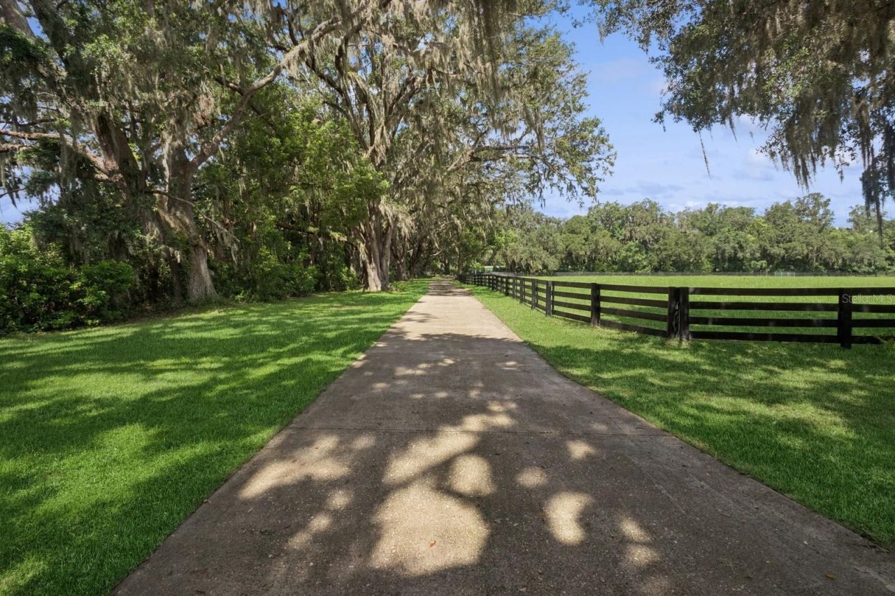 35520 Timbertop Lane, Fruitland Park, FL 34731 Photo