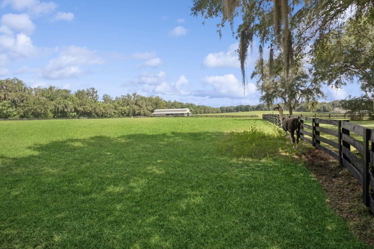 35520 Timbertop Lane, Fruitland Park, FL 34731 Photo