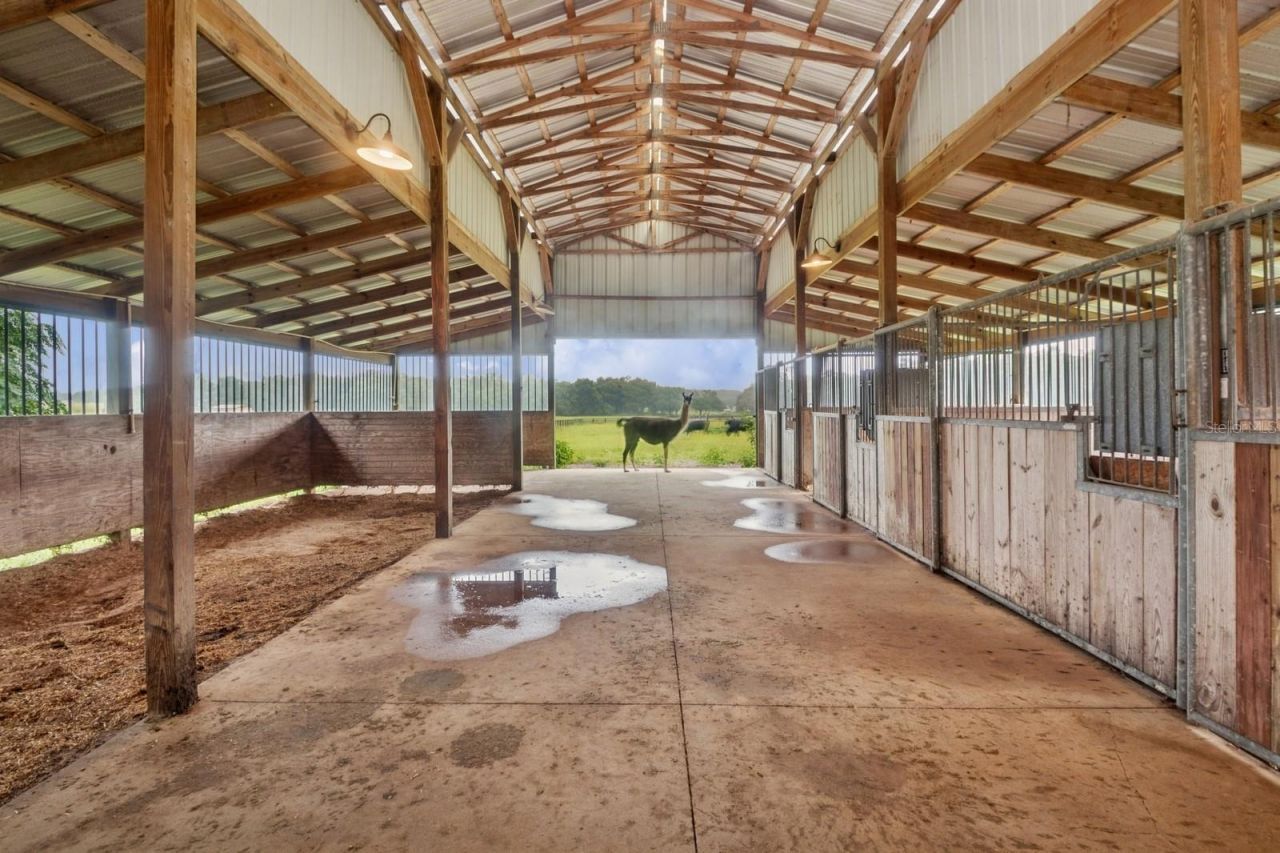 35520 Timbertop Lane, Fruitland Park, FL 34731 Photo