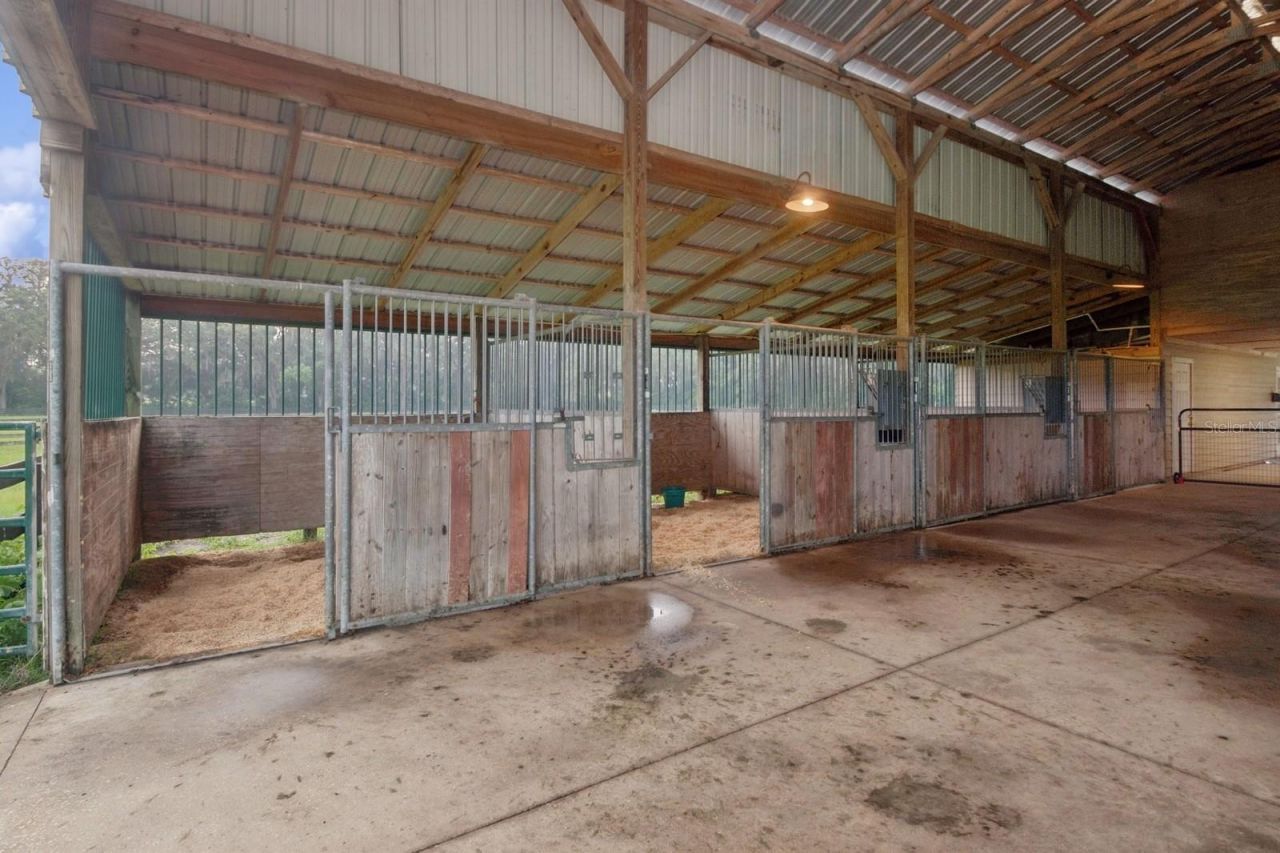 35520 Timbertop Lane, Fruitland Park, FL 34731 Photo